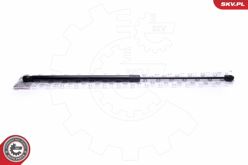 Gas Spring, boot/cargo area